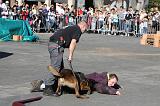 ARRESTATION POLICE 014